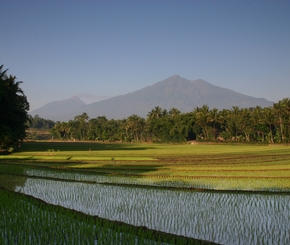 Mountainview Christian School - Jateng, Jateng